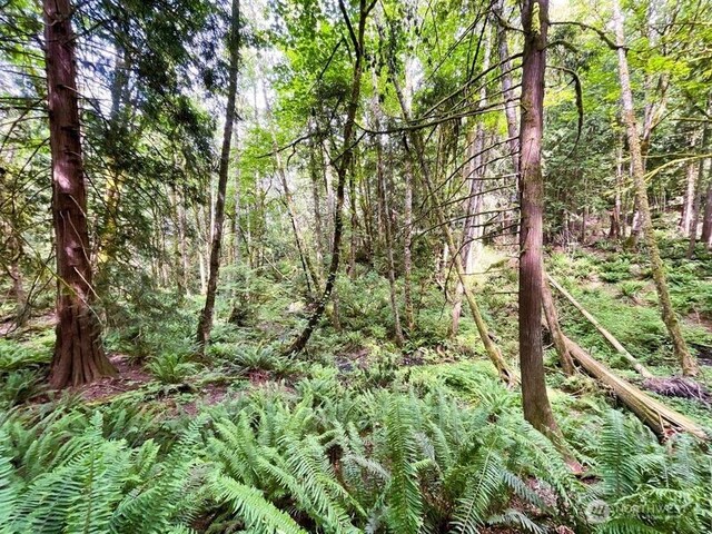 107 Pueblo Hts, Mount Vernon, WA 98273 - photo 21
