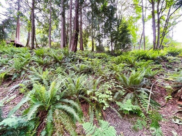 107 Pueblo Hts, Mount Vernon, WA 98273 - photo 22