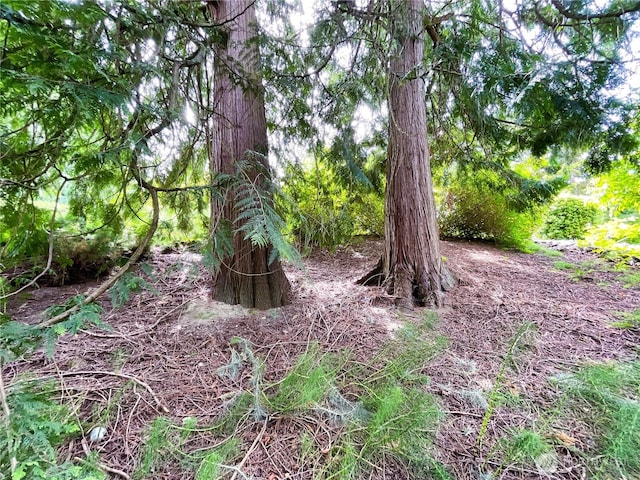 107 Pueblo Hts, Mount Vernon, WA 98273 - photo 24