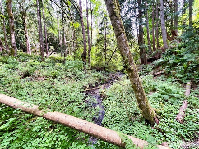 107 Pueblo Hts, Mount Vernon, WA 98273 - photo 25