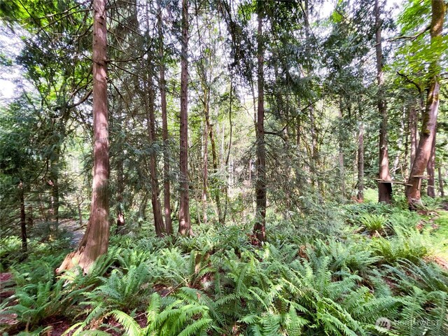 107 Pueblo Hts, Mount Vernon, WA 98273 - photo 26