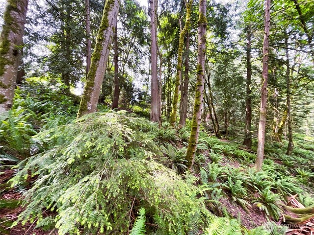 107 Pueblo Hts, Mount Vernon, WA 98273 - photo 27