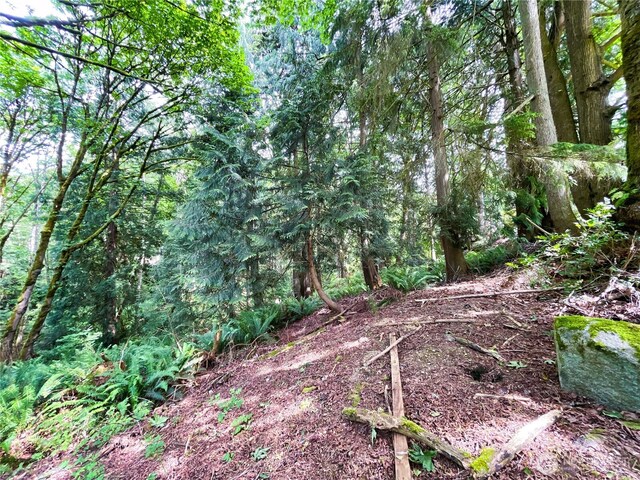 107 Pueblo Hts, Mount Vernon, WA 98273 - photo 28