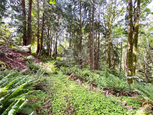 107 Pueblo Hts, Mount Vernon, WA 98273 - photo 29