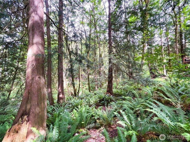107 Pueblo Hts, Mount Vernon, WA 98273 - photo 30