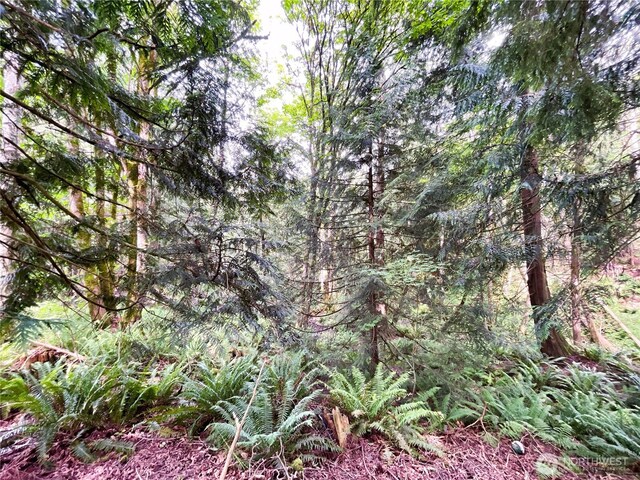107 Pueblo Hts, Mount Vernon, WA 98273 - photo 31