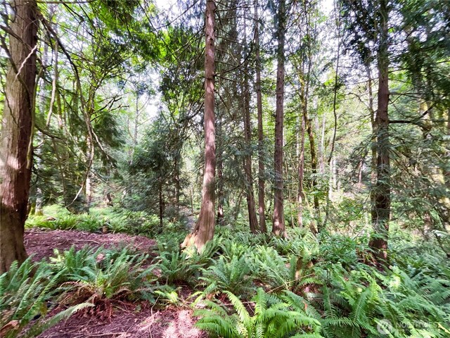 107 Pueblo Hts, Mount Vernon, WA 98273 - photo 32