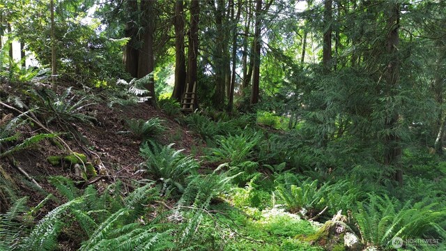 107 Pueblo Hts, Mount Vernon, WA 98273 - photo 34
