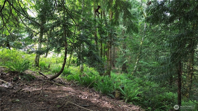 107 Pueblo Hts, Mount Vernon, WA 98273 - photo 35