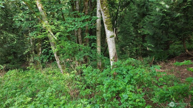 107 Pueblo Hts, Mount Vernon, WA 98273 - photo 36