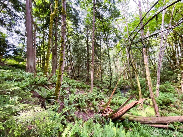 107 Pueblo Hts, Mount Vernon, WA 98273 - photo 37