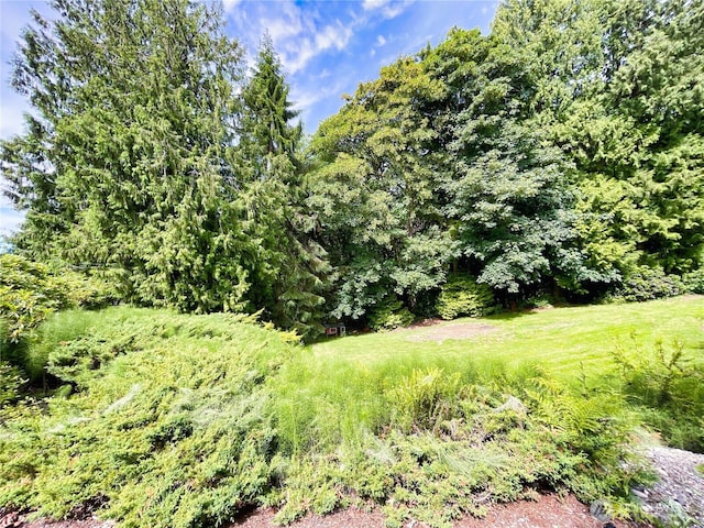 107 Pueblo Hts, Mount Vernon, WA 98273 - photo 39