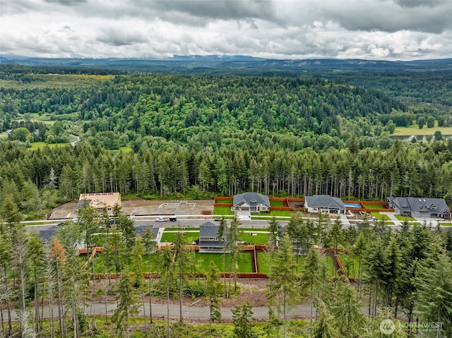 15612 210th Ave E Unit 313, Bonney Lake, WA 98391 - drone / aerial view of a forest