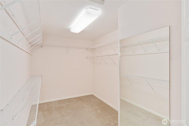 211 Greenview Ln, Port Ludlow, WA 98365 - walk in closet featuring carpet