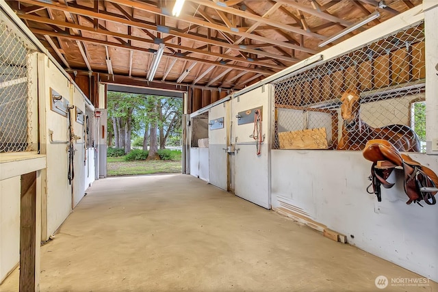 4716 266th St E, Spanaway, WA 98387 - view of horse barn