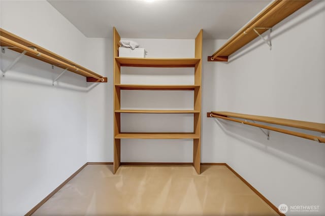 4716 266th St E, Spanaway, WA 98387 - view of walk in closet