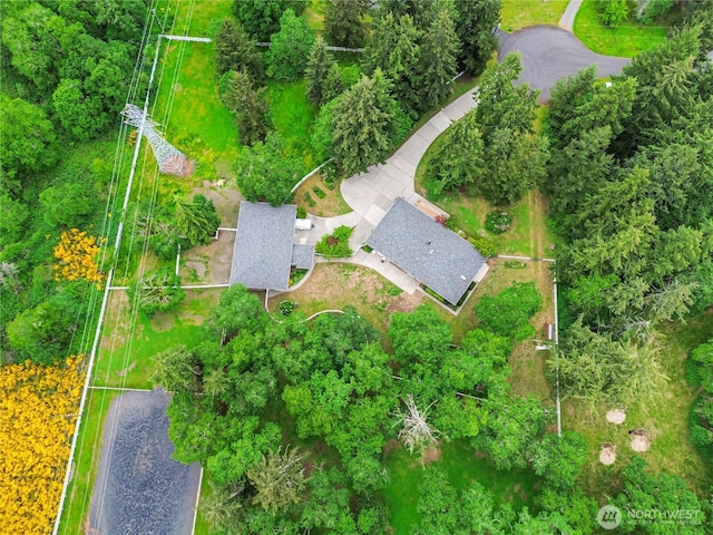 4716 266th St E, Spanaway, WA 98387 - bird's eye view