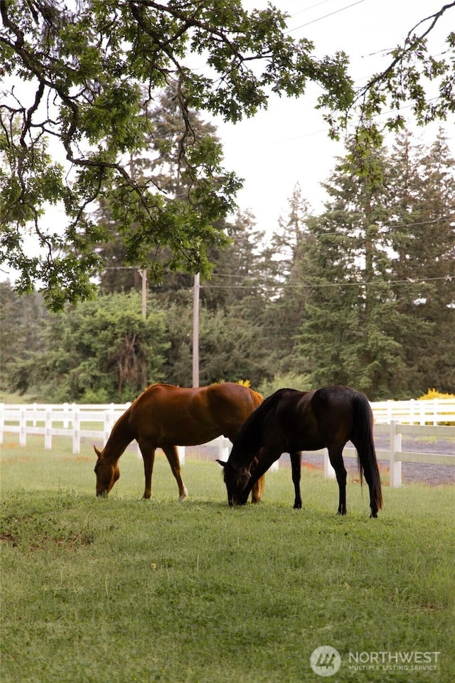 4716 266th St E, Spanaway, WA 98387 - view of horse barn