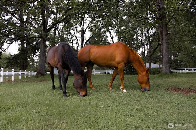 4716 266th St E, Spanaway, WA 98387 - view of stable