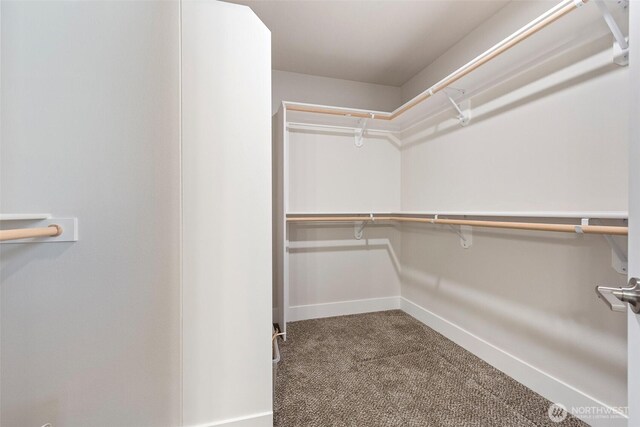 4208 W Sandy Ct, Moses Lake, WA 98837 - spacious closet featuring carpet floors