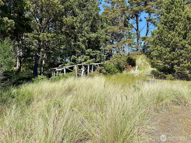 500 Star St, Westport, WA 98595 - photo 2