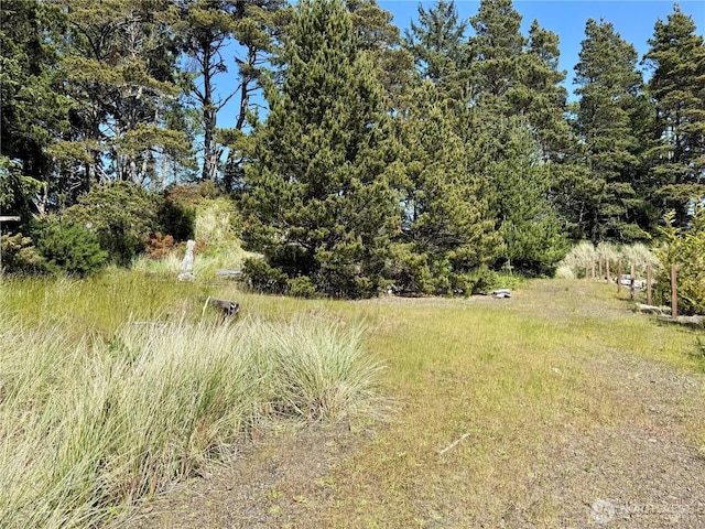 500 Star St, Westport, WA 98595 - photo 3