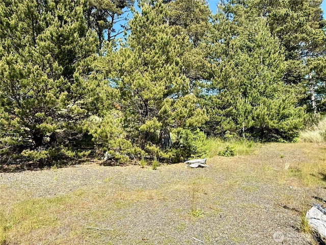 500 Star St, Westport, WA 98595 - photo 6