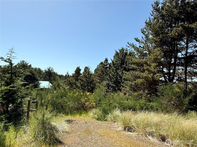 500 Star St, Westport, WA 98595 - photo 7