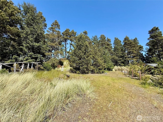 500 Star St, Westport, WA 98595 - photo 13