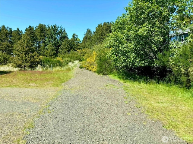 500 Star St, Westport, WA 98595 - photo 14