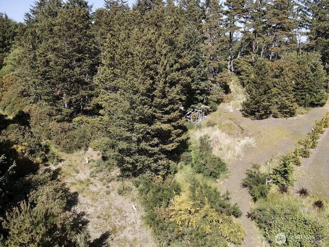 500 Star St, Westport, WA 98595 - photo 15