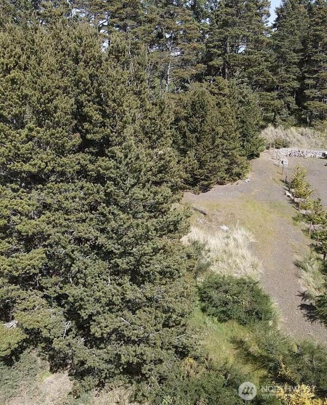 500 Star St, Westport, WA 98595 - photo 16