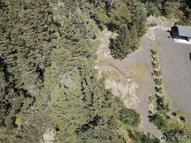 500 Star St, Westport, WA 98595 - photo 17