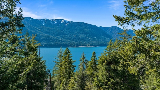 7 Newport Creek Loop, Ronald, WA 98940