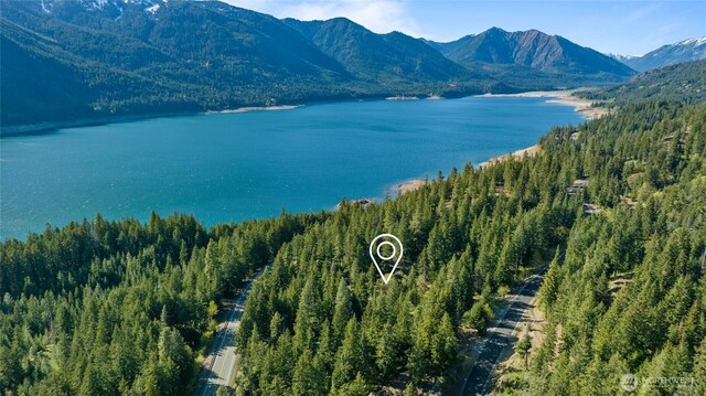 2 Newport Creek Loop, Ronald, WA 98940