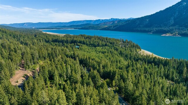 2 Newport Creek Loop, Ronald, WA 98940