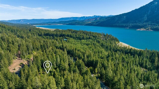 2 Newport Creek Loop, Ronald, WA 98940