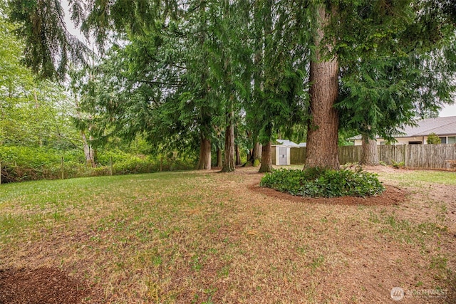 9828 33rd Dr SE, Everett, WA 98208 - view of yard