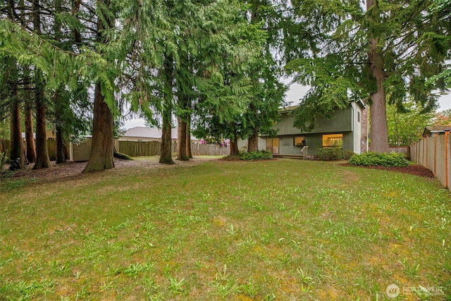 9828 33rd Dr SE, Everett, WA 98208 - view of yard