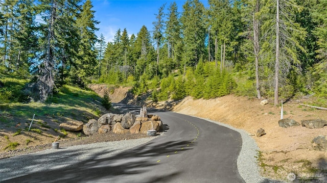 1 Newport Creek Loop, Ronald, WA 98940
