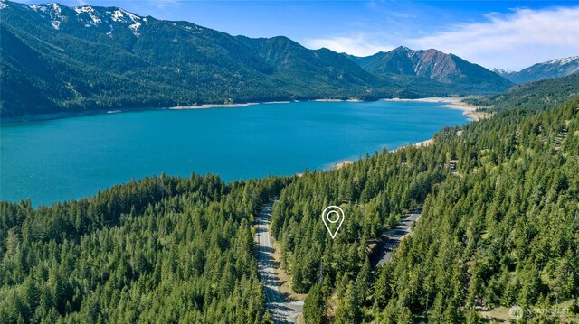 1 Newport Creek Loop, Ronald, WA 98940