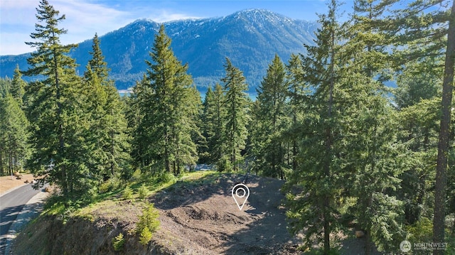 1 Newport Creek Loop, Ronald, WA 98940