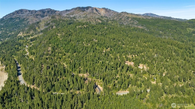 1 Newport Creek Loop, Ronald, WA 98940