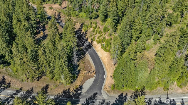 1 Newport Creek Loop, Ronald, WA 98940