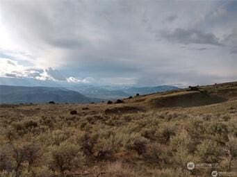 565 Peach Rd, Waterville, WA 98858
