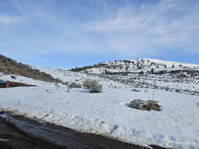 565 Peach Rd, Waterville, WA 98858