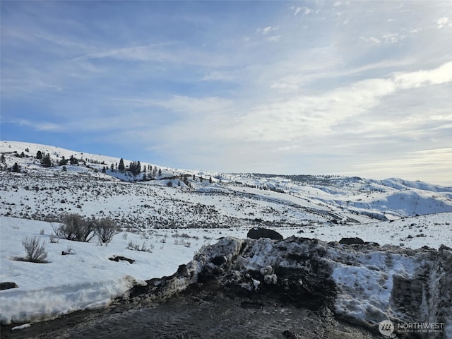 565 Peach Rd, Waterville, WA 98858