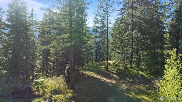 3 Newport Creek Loop, Ronald, WA 98940