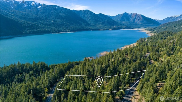 3 Newport Creek Loop, Ronald, WA 98940