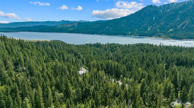 9 Salmon La Sac Hwy, Ronald, WA 98941
